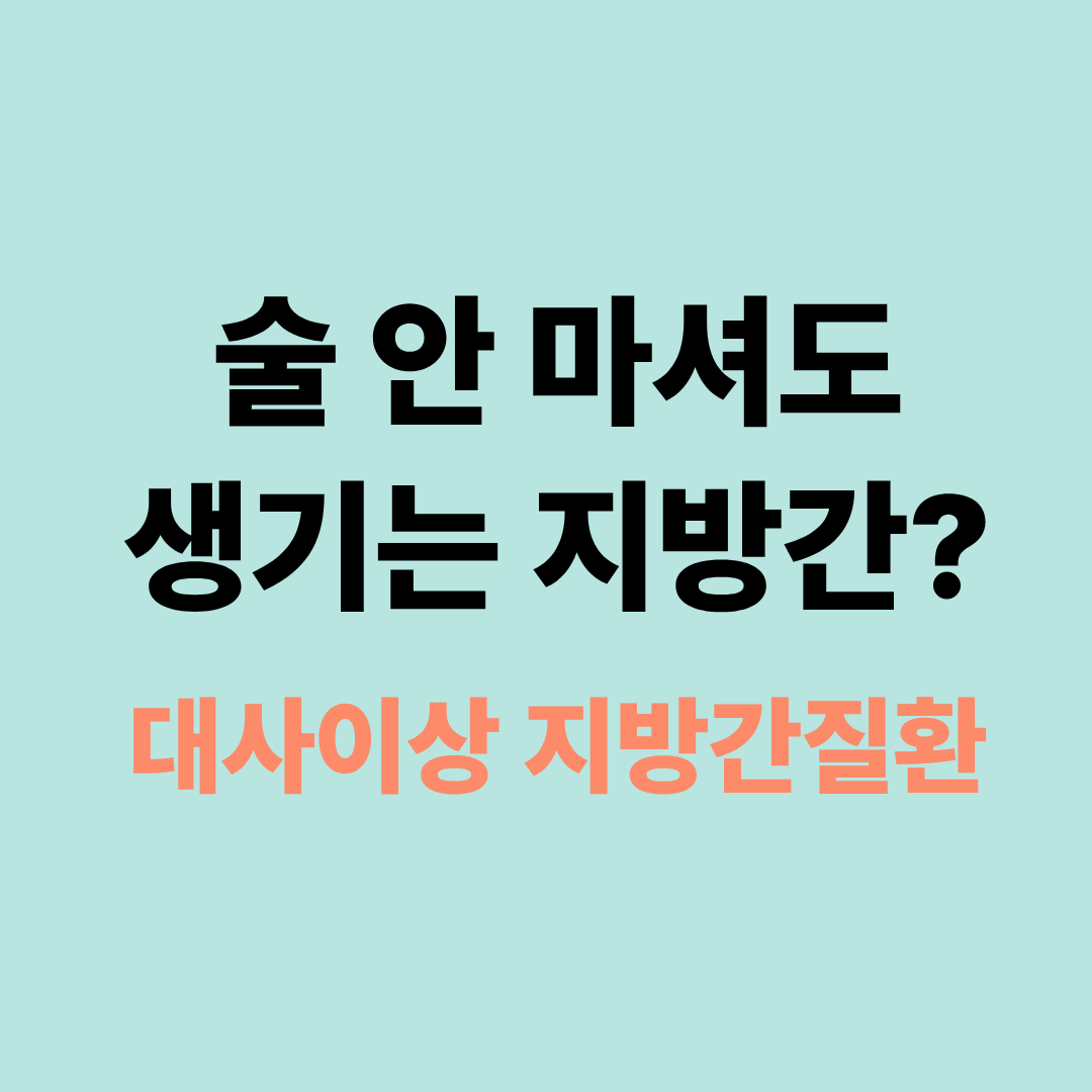 술 안 마셔도 지방간이 생긴다? 대사이상 지방간질환 원인과 관리법