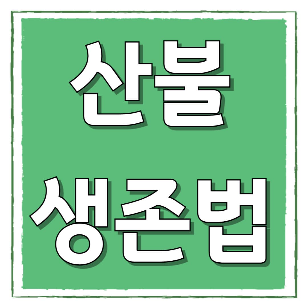산불 발생 시 생존법! 5분 안에 대피하는 필수 가이드