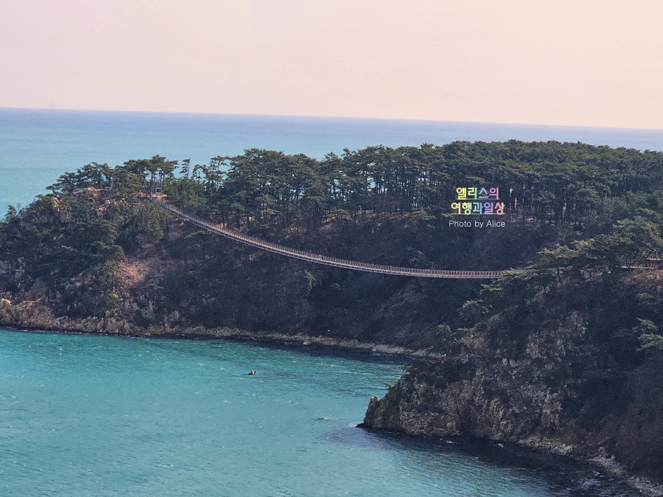 울산 타니베이 호텔, 신상 오션뷰 호텔 숙소 추천 - 코너스위트룸