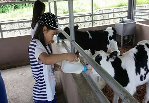 지리산치즈랜드