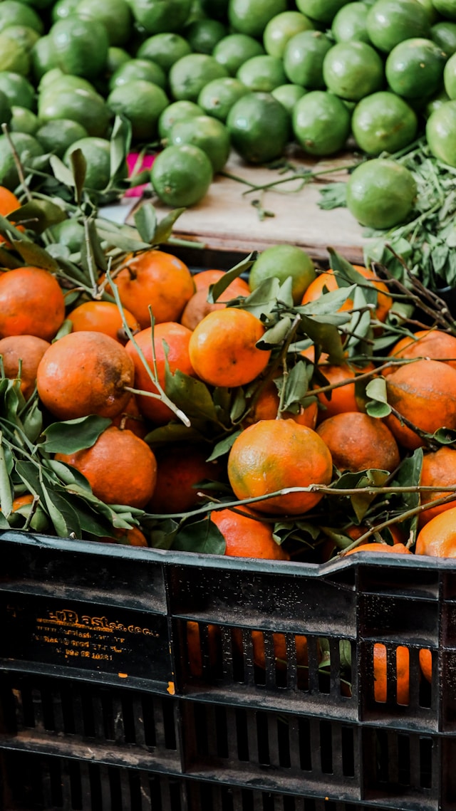 겨울 면역력 왕 비타민C 과일 순위 TOP5