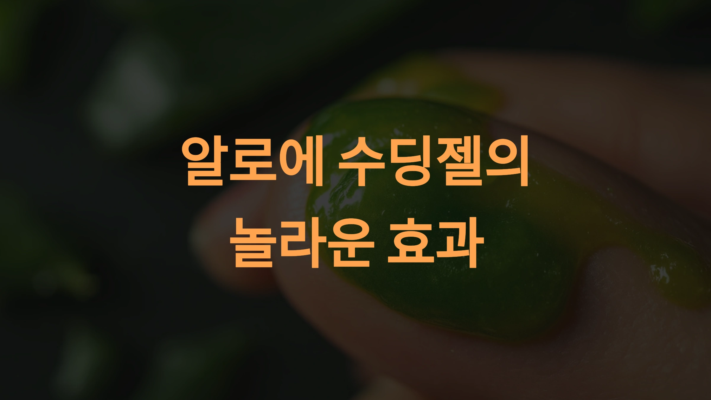 알로에 수딩젤 효과와 사용법: 피부 관리의 모든 것