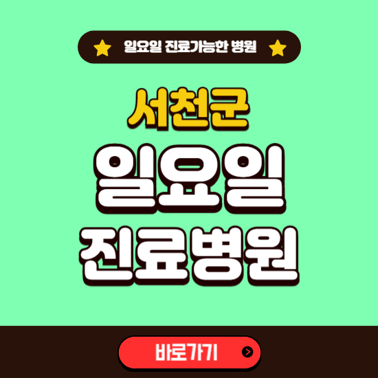 서천군 일요일 진료 가능한 병원 ❘ 주말 문여는 곳 총정리 (소아과, 내과, 안과, 치과, 피부과, 정형외과, 산부인과)