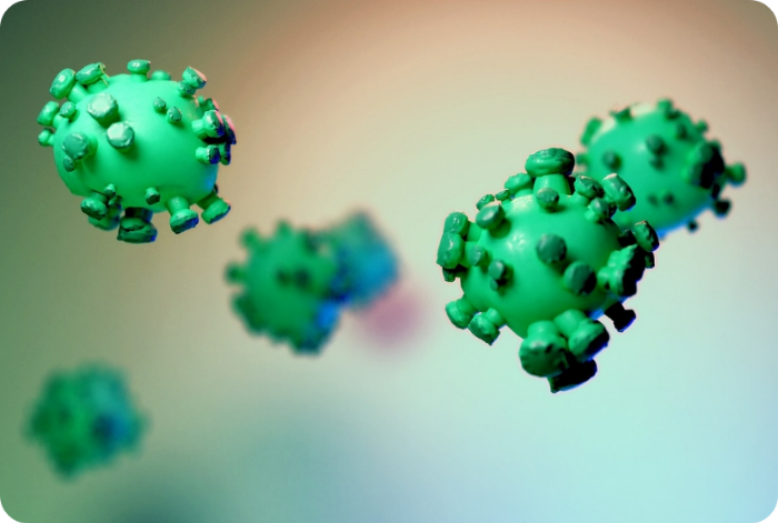 독감 백신 4가 vs 3가, 진짜 차이날까?