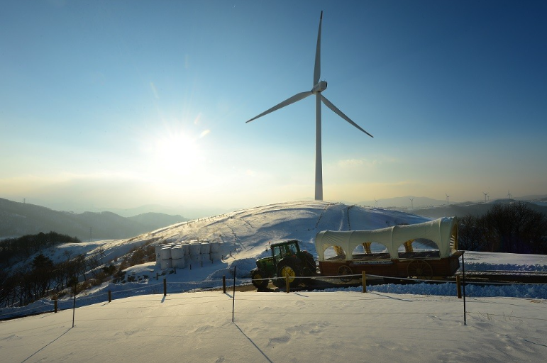 생방송투데이 대관령하늘목장 강원도 평창