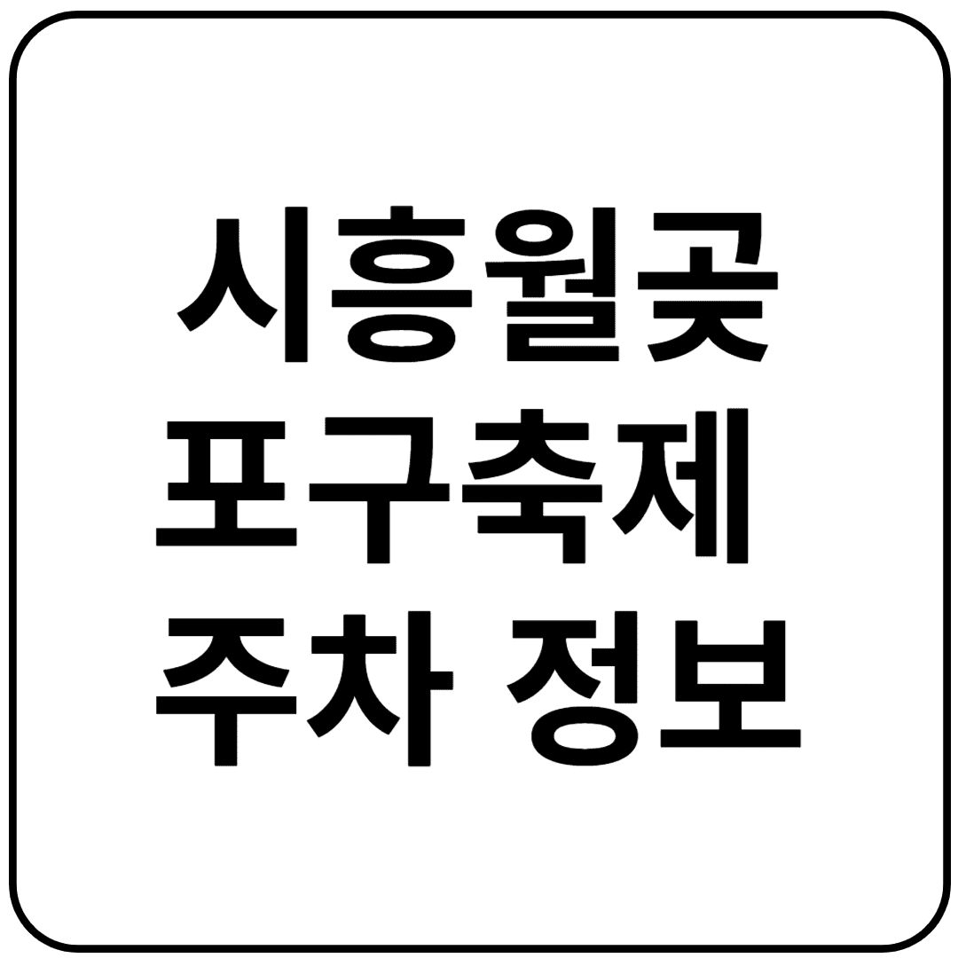 시흥월곶포구축제 주차, 라인업, 드론쇼