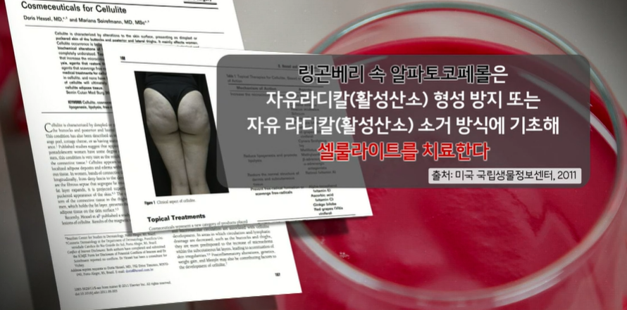 링곤베리 효능