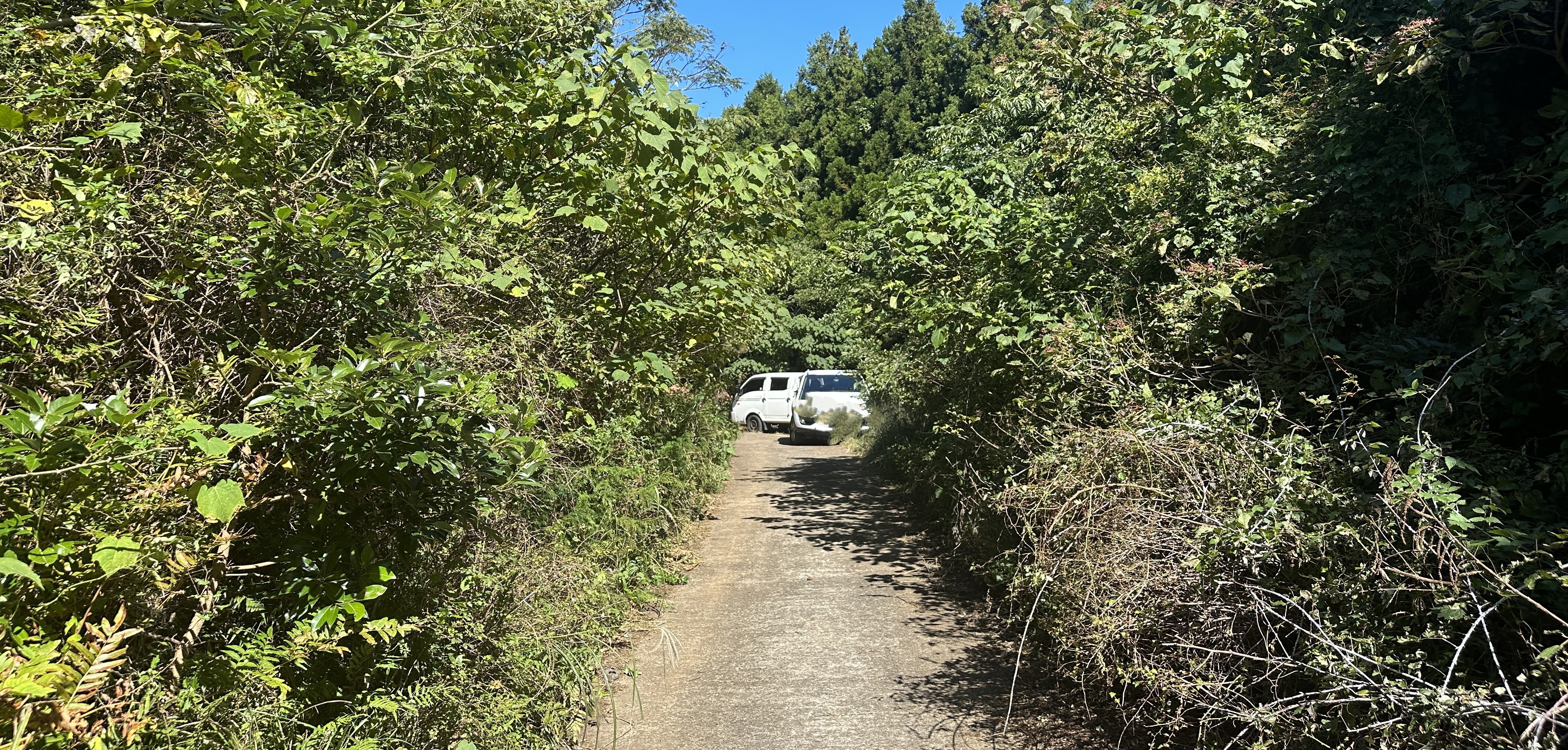 동검은이오름/ 동거문오름 입구