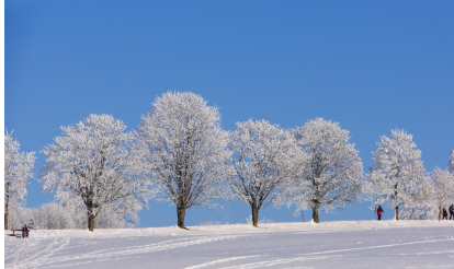 겨울 여행 추천지 TOP 5: 눈 덮인 환상적인 여행지 &ndash; 겨울에 가면 더 아름다운 곳