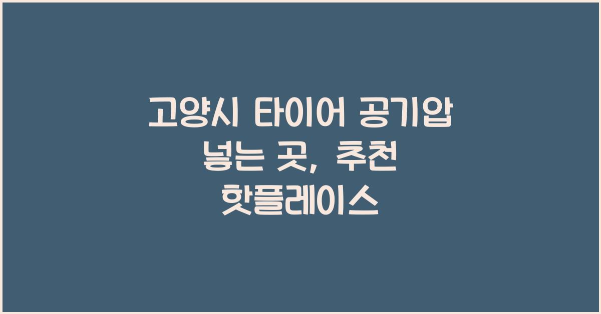 고양시 타이어 공기압 넣는 곳