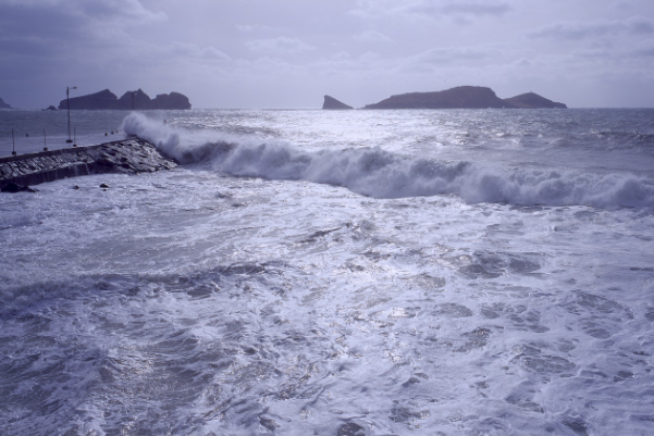 태풍 피해 예방 및 태풍 피해 대처 방법