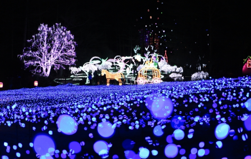 오색별빛정원전