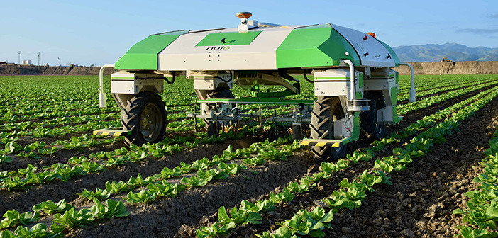 로봇을 이용한 작물 재배 : 자동화 움직임