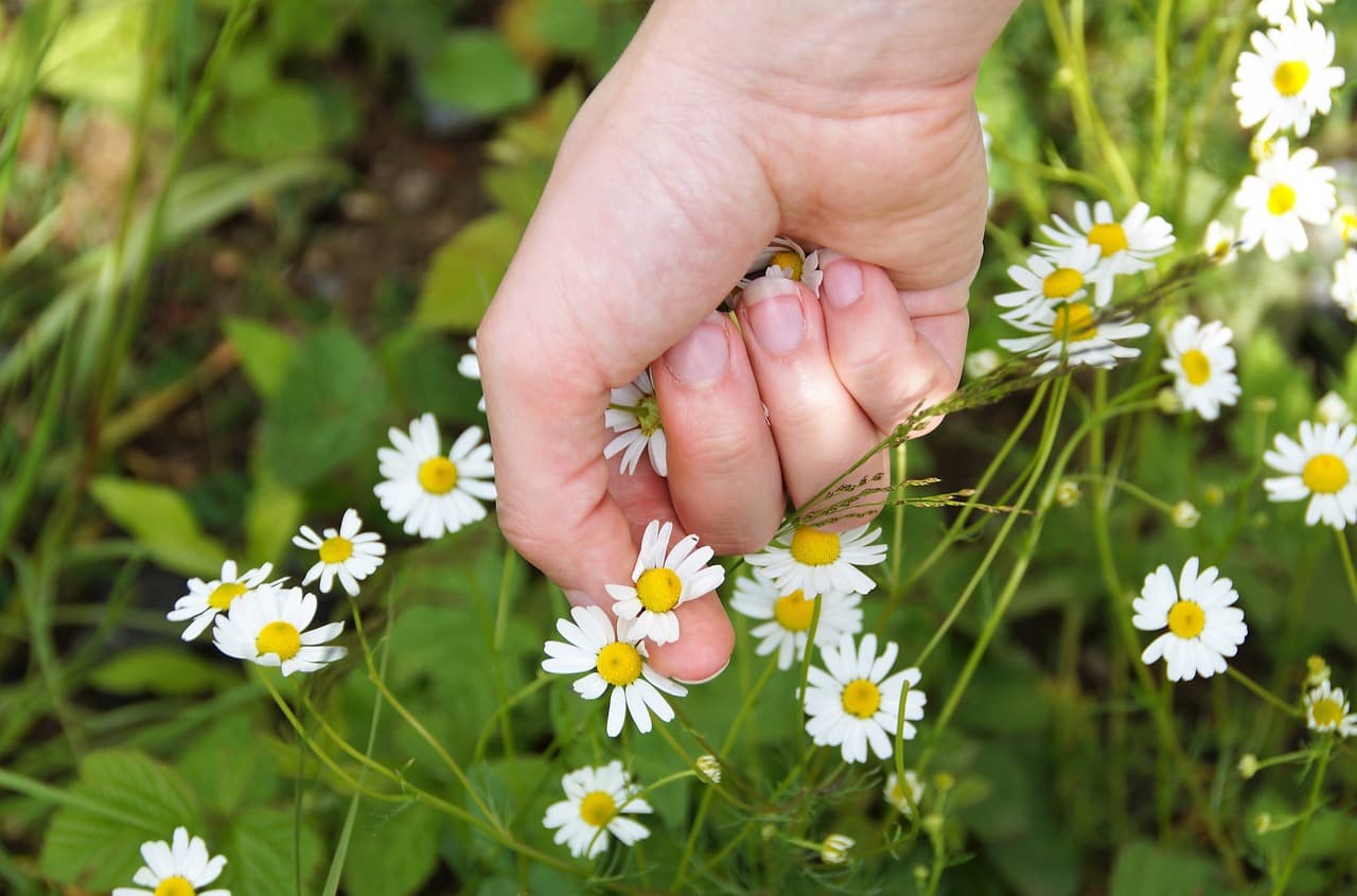 80/20 법칙을 활용한 시간 관리법