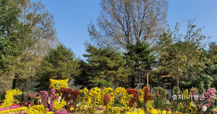 2025 자라섬 꽃 페스타 공연·입장료·주차·가는길·선박까지! 봄꽃축제 꿀팁 한눈에