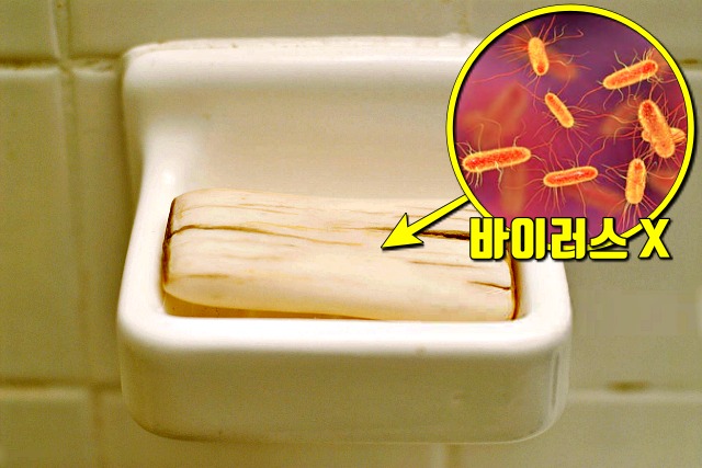 코로나 예방수칙 거리두기,비누