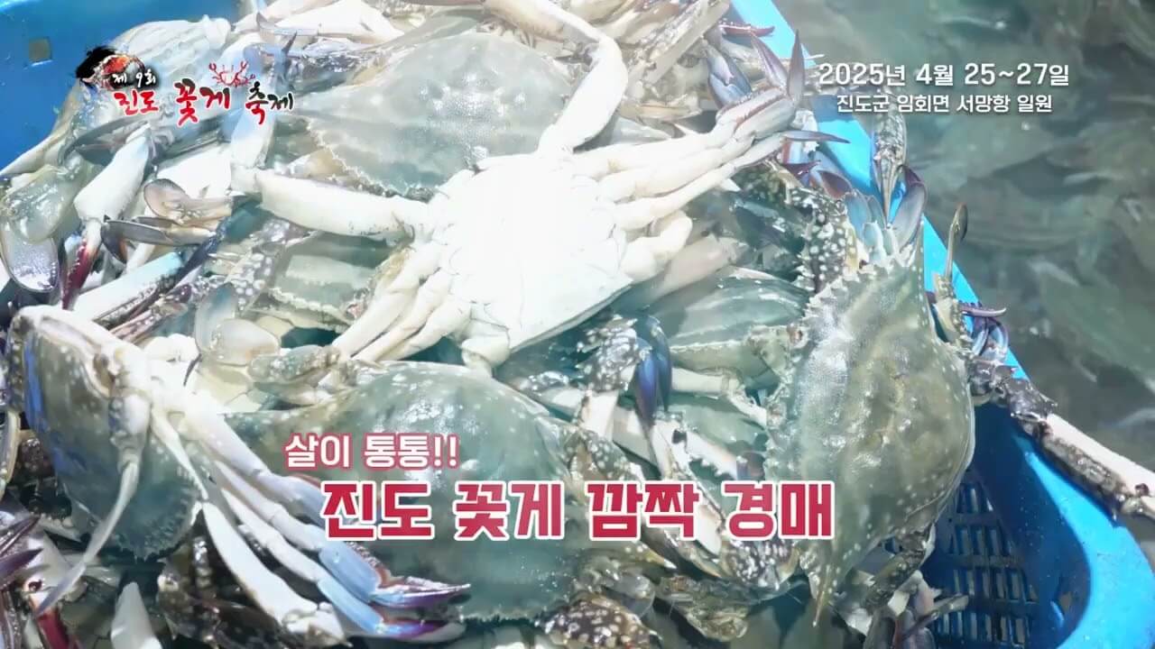 극한직업 진도 꽃게 택배 주문하기