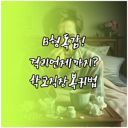 B형 독감 격리 기간 및 학교 직장 ..