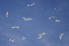 비문증 치료방법