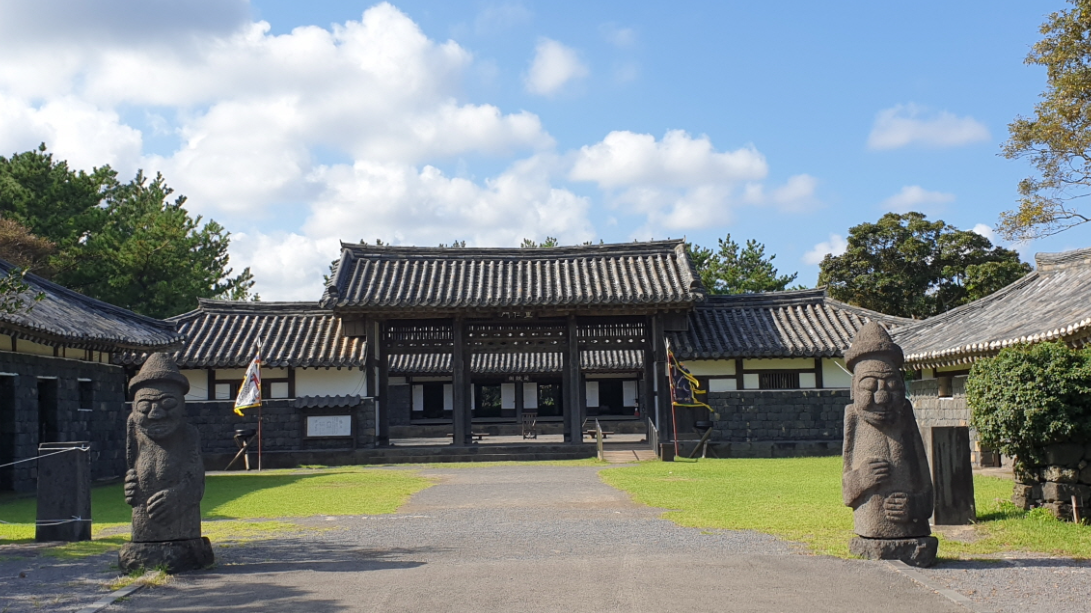 제주 메밀꽃 축제 2024 요금 행사