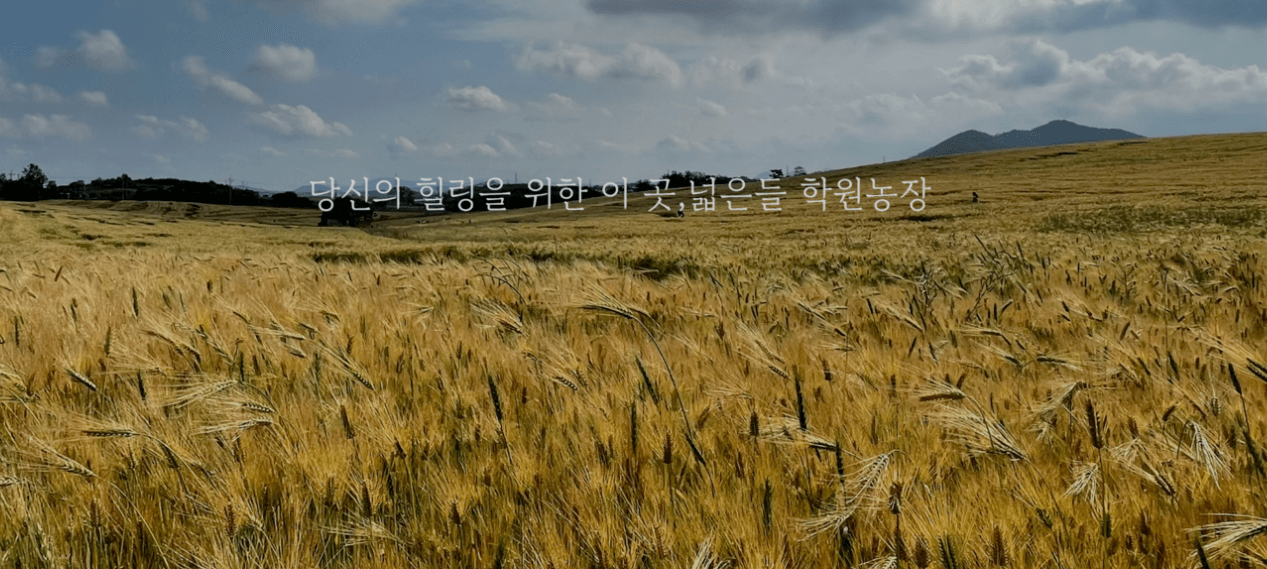 고창 학원 농장 입장료 총정리 관련사진