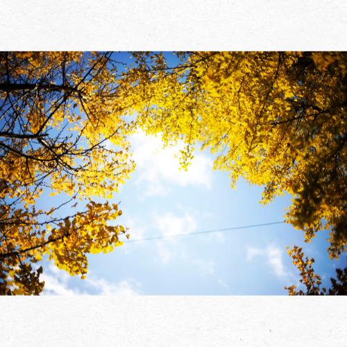 입추 무렵 불어오는 선선한 바람을 표현한 이미지