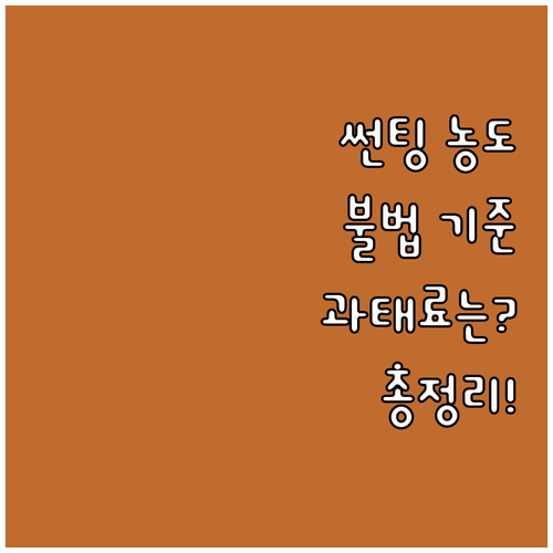 썬팅 농도 불법 기준? 단속 시 과태..