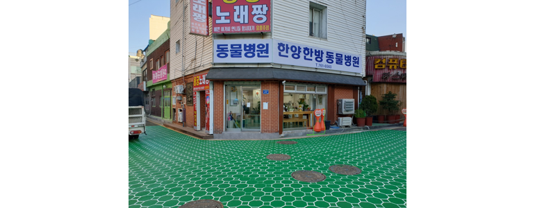 인천 중구 동물병원