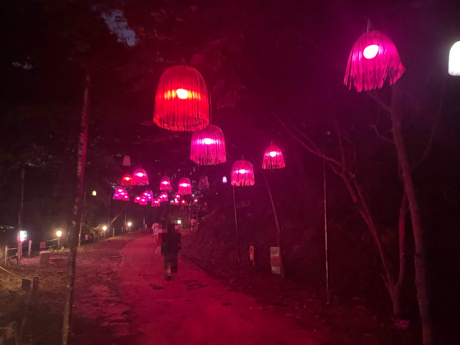 꽃빛의 메조포르테4