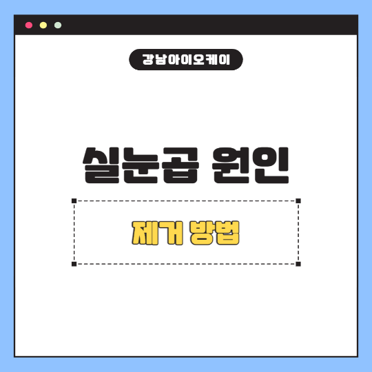 실눈곱-원인