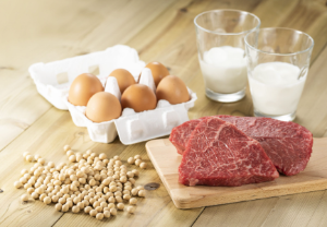 계란,콩,소고기,우유