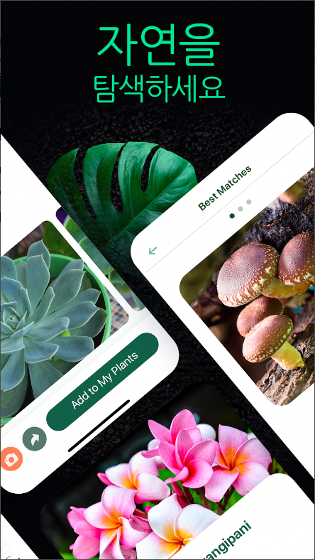 NatureID, 식물과 꽃 이름 찾기