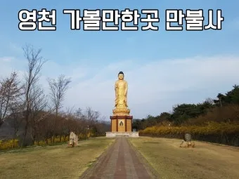 영천 가볼만한곳 맛집 카페 추천 여름 사진 명소_20