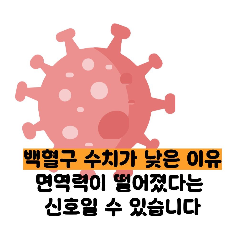 백혈구 수치가 낮은 이유