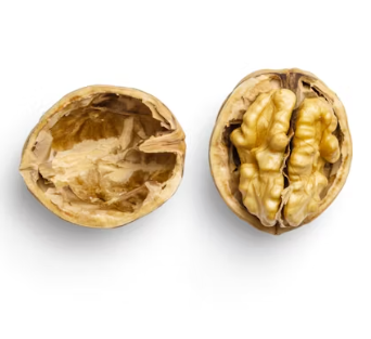 알부민 부작용 복용시간