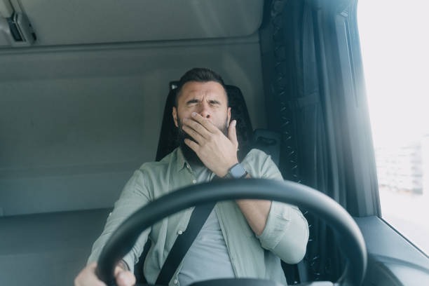 815-특사-대상자-조회-3가지-방법