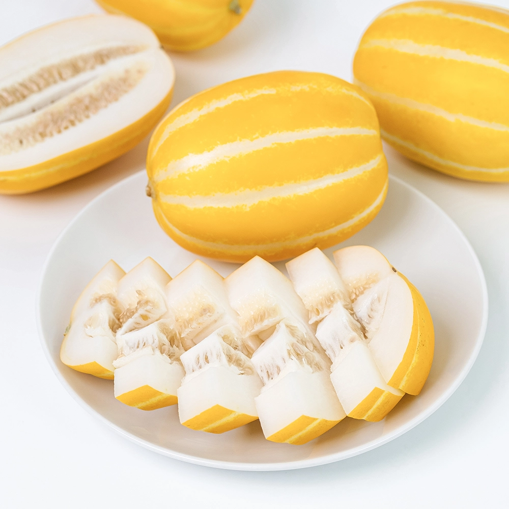 맛있는 참외 고르는 법