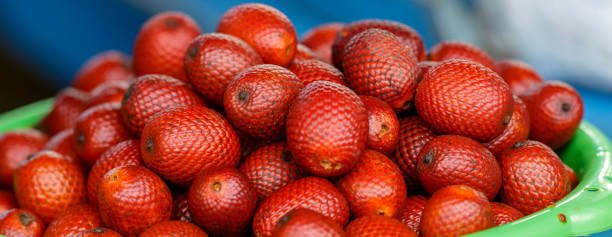 아구아헤 효능 및 부작용. 아마존 우림 숲 속에서 자라는 아구아헤는 비타민과 미네랄이 풍부하게 들어있어 건강에 매우 좋은 열매입니다. 이번에는 아구아헤의 다양한 효능과 부작용, 그리고 사용 방법까지 자세히 알아보겠습니다.