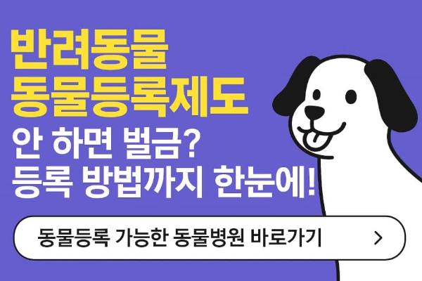 국가동물보호 정보