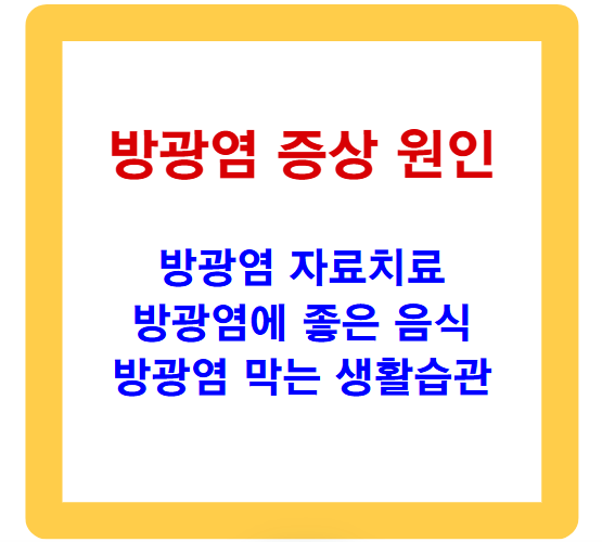 방광염 증상과 원인, 혈뇨, 재발 없는 관리와 자연치료법 알아보기