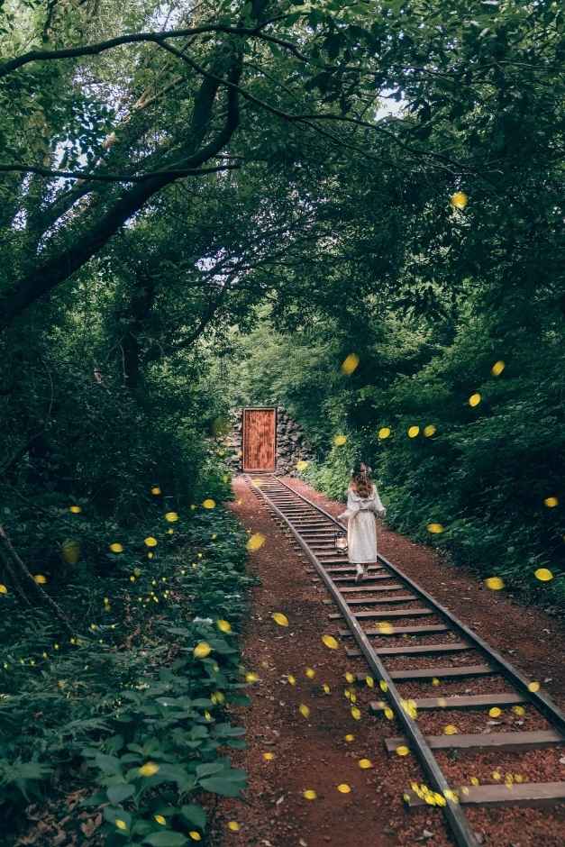 제주 산양큰엉곶