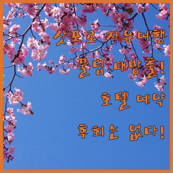 삿포로 자유여행 필수 정보! 놓치면