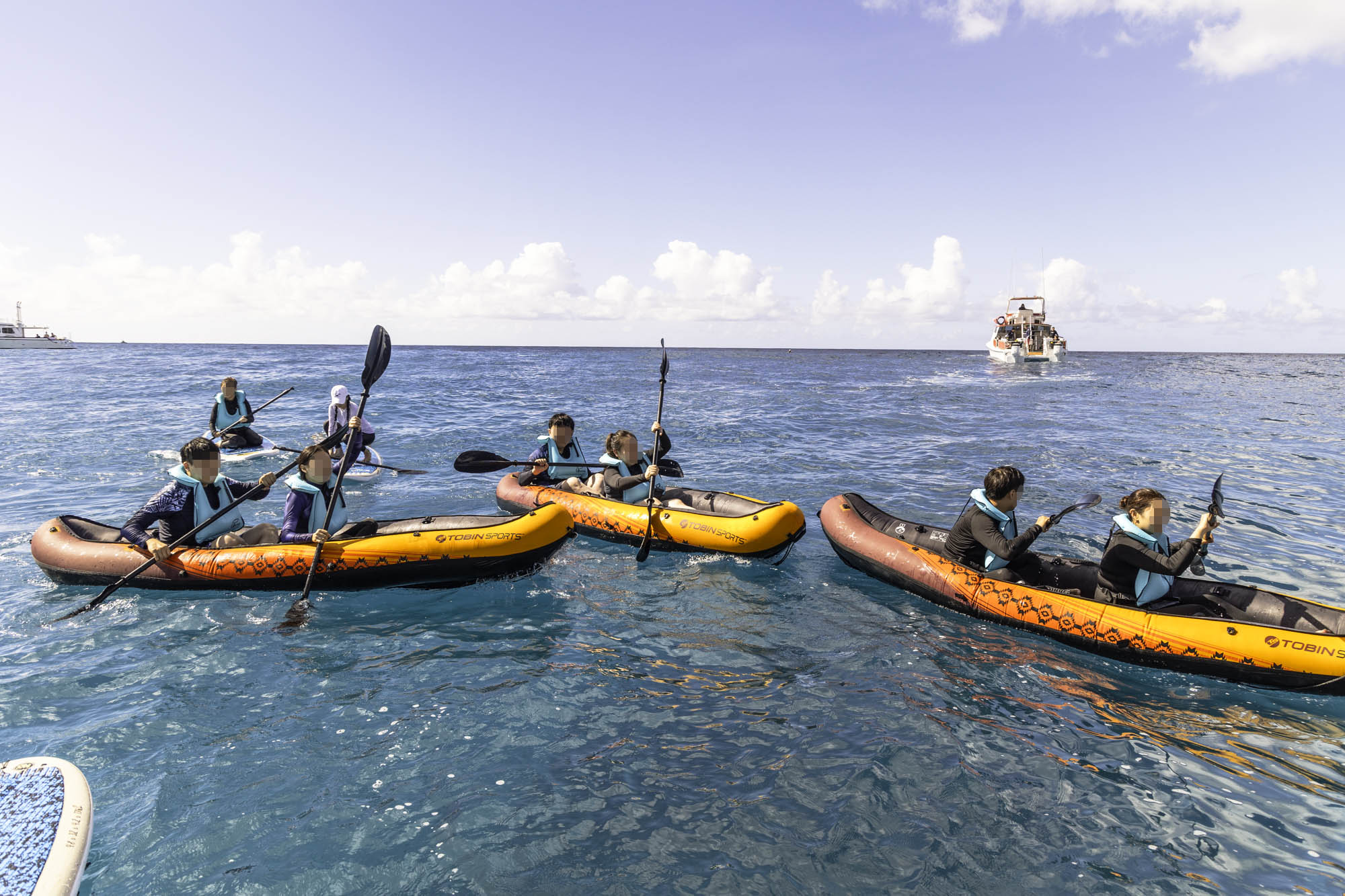 하와이 거북이 스노쿨링
