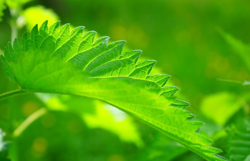 멜라토닌 영양제 효과&amp;#44; 수면 개선법&amp;#44; 복용 팁 총 정리 (2025 최신)