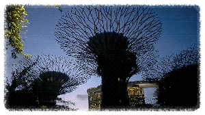 슈퍼트리 그로브