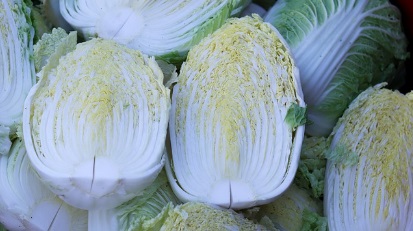 대형마트 절임배추 예약판매 가격비교 이마트 홈플 롯데 농협