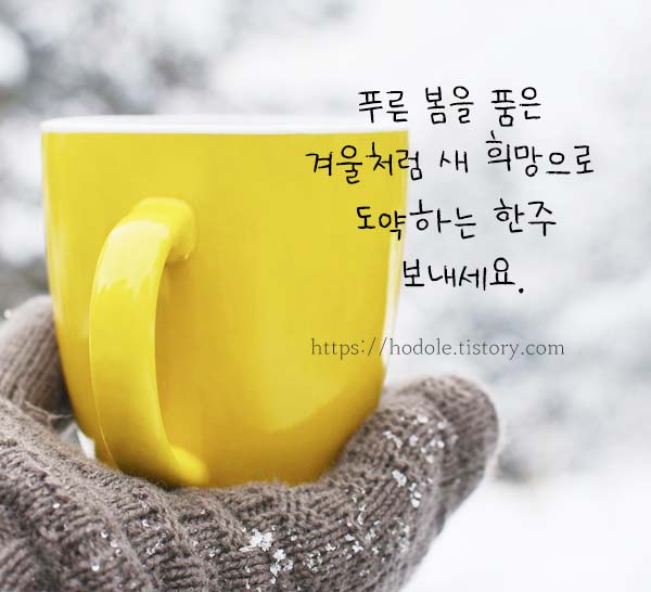 새로운한주인사