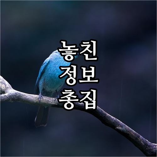 2025 포항시 다문화가족 출산용품 ..