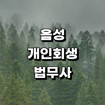 음성군 개인회생 법무사