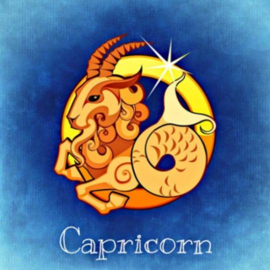 염소자리(Capricornus)